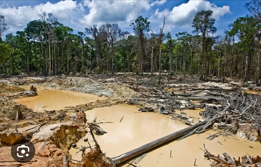 Orpaillage illégal : Pourquoi cette soudaine course à la répression ?