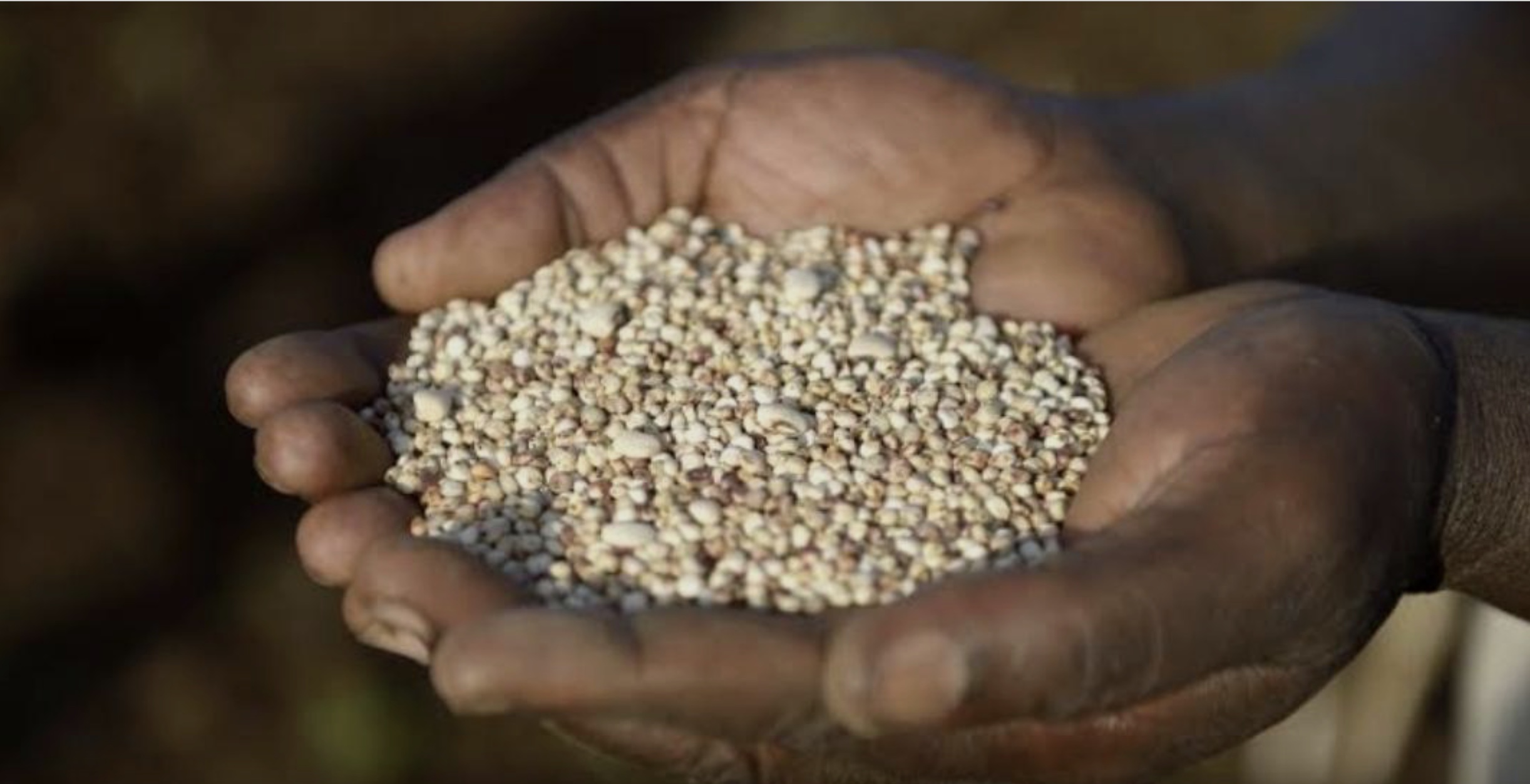 Afrique : L’échec économique de la « Révolution Verte »